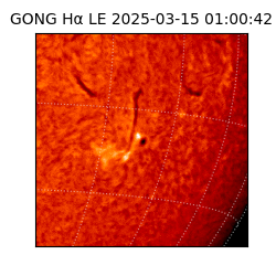 gong - 2025-03-15T01:00:42