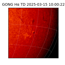 gong - 2025-03-15T10:00:22