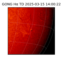 gong - 2025-03-15T14:00:22