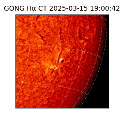 gong - 2025-03-15T19:00:42