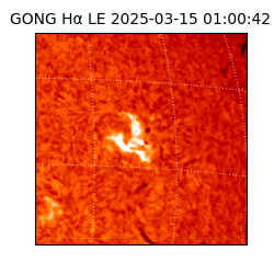 gong - 2025-03-15T01:00:42