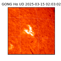 gong - 2025-03-15T02:03:02