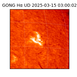 gong - 2025-03-15T03:00:02