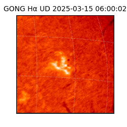 gong - 2025-03-15T06:00:02