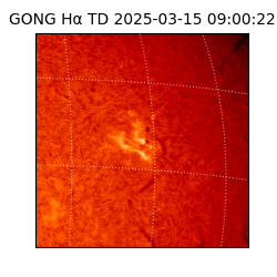 gong - 2025-03-15T09:00:22