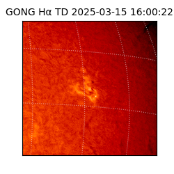 gong - 2025-03-15T16:00:22