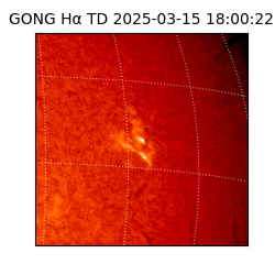 gong - 2025-03-15T18:00:22