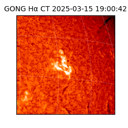 gong - 2025-03-15T19:00:42