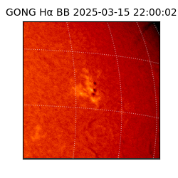 gong - 2025-03-15T22:00:02