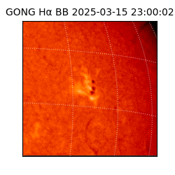 gong - 2025-03-15T23:00:02