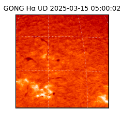 gong - 2025-03-15T05:00:02
