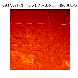 gong - 2025-03-15T09:00:22