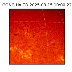 gong - 2025-03-15T10:00:22