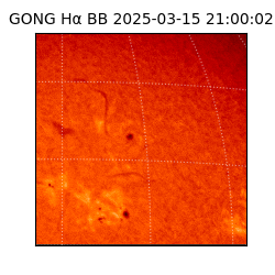 gong - 2025-03-15T21:00:02