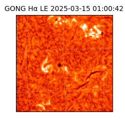 gong - 2025-03-15T01:00:42