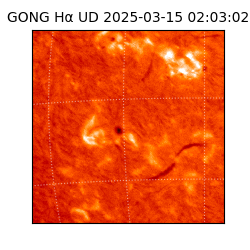 gong - 2025-03-15T02:03:02