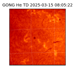 gong - 2025-03-15T08:05:22