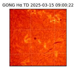 gong - 2025-03-15T09:00:22