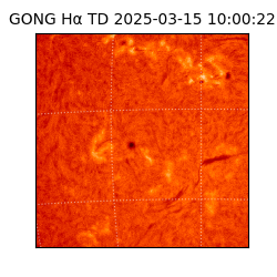 gong - 2025-03-15T10:00:22