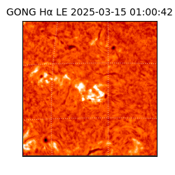 gong - 2025-03-15T01:00:42