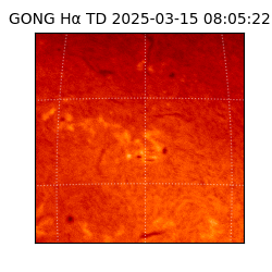 gong - 2025-03-15T08:05:22