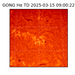 gong - 2025-03-15T09:00:22