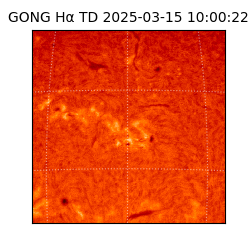 gong - 2025-03-15T10:00:22