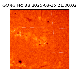 gong - 2025-03-15T21:00:02