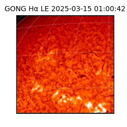 gong - 2025-03-15T01:00:42