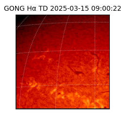 gong - 2025-03-15T09:00:22