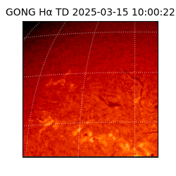 gong - 2025-03-15T10:00:22