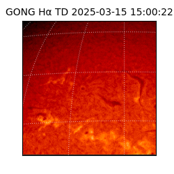 gong - 2025-03-15T15:00:22