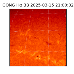 gong - 2025-03-15T21:00:02