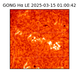 gong - 2025-03-15T01:00:42