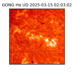 gong - 2025-03-15T02:03:02