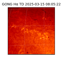 gong - 2025-03-15T08:05:22