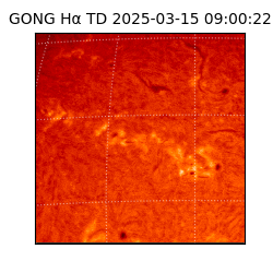 gong - 2025-03-15T09:00:22