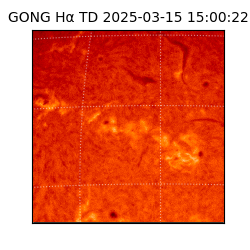 gong - 2025-03-15T15:00:22