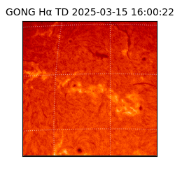 gong - 2025-03-15T16:00:22