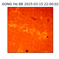 gong - 2025-03-15T22:00:02