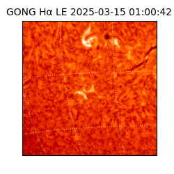 gong - 2025-03-15T01:00:42