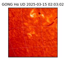gong - 2025-03-15T02:03:02
