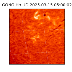 gong - 2025-03-15T05:00:02