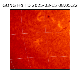 gong - 2025-03-15T08:05:22