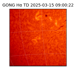 gong - 2025-03-15T09:00:22