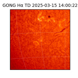 gong - 2025-03-15T14:00:22