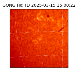 gong - 2025-03-15T15:00:22