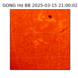 gong - 2025-03-15T21:00:02