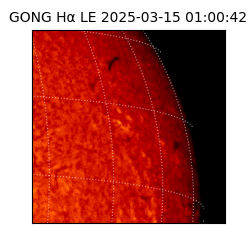 gong - 2025-03-15T01:00:42