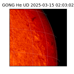 gong - 2025-03-15T02:03:02